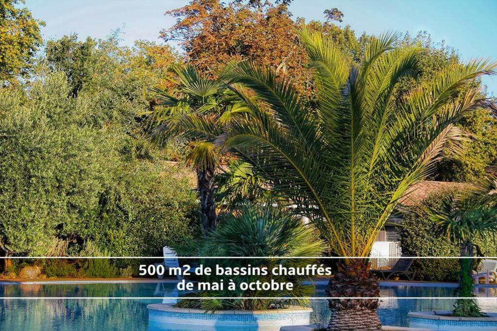 Chalet T3/Clim/Wifi/Pkg/Terrasse/15 Min Plages Villa La Teste-de-Buch Buitenkant foto